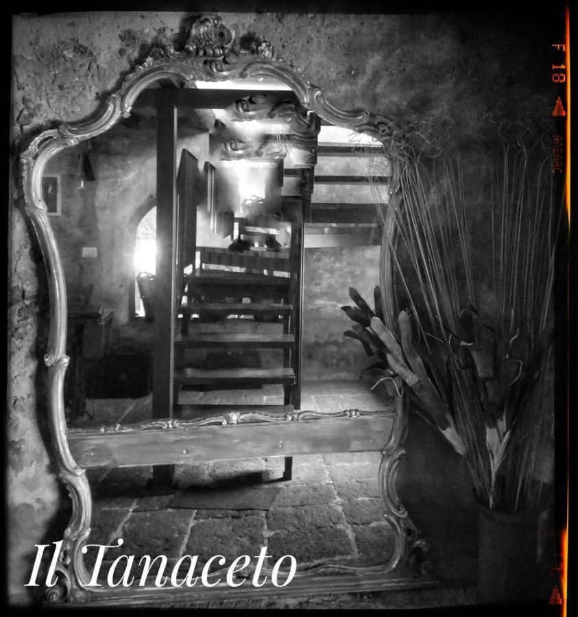 Hotel Il Tanaceto Castiglione De Sicilia Exterior foto